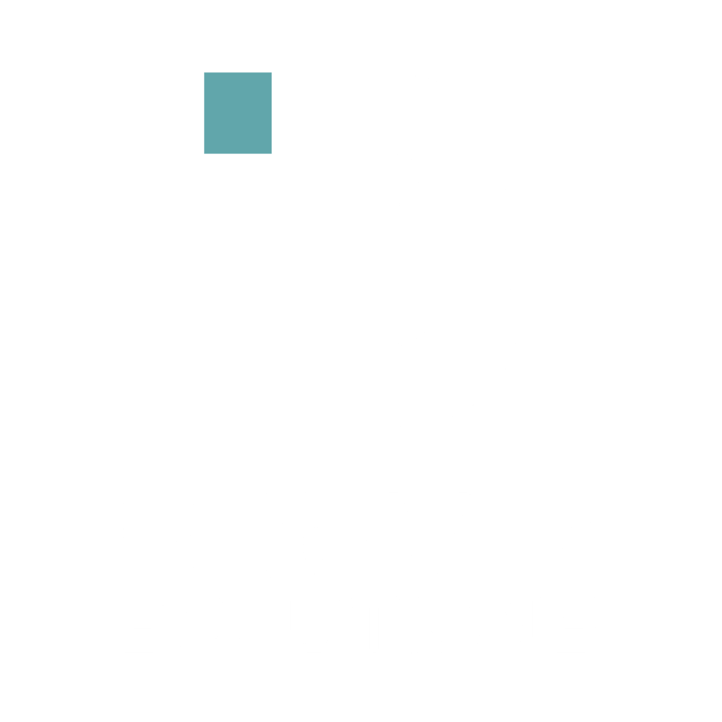 Brevir Solutions